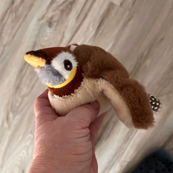 13.000+ katter älskar BirdChase