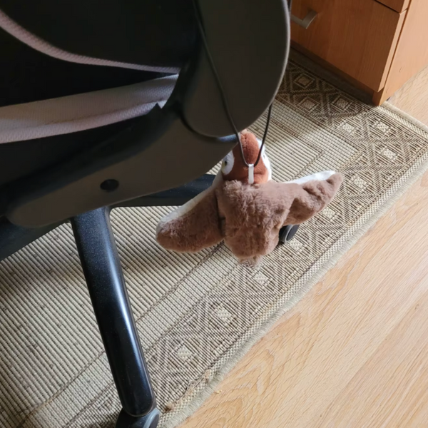 13.000+ katter älskar BirdChase