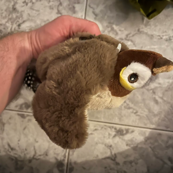 13.000+ katter älskar BirdChase